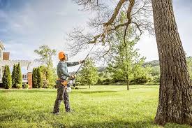 Best Weed Control  in Tarpey Village, CA